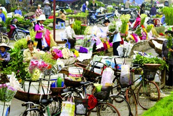 Уникальность ханойских рынков новогодних цветов - ảnh 1